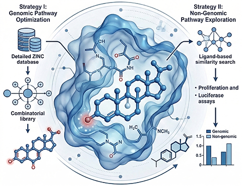 Glucocorticoid Receptor Complex